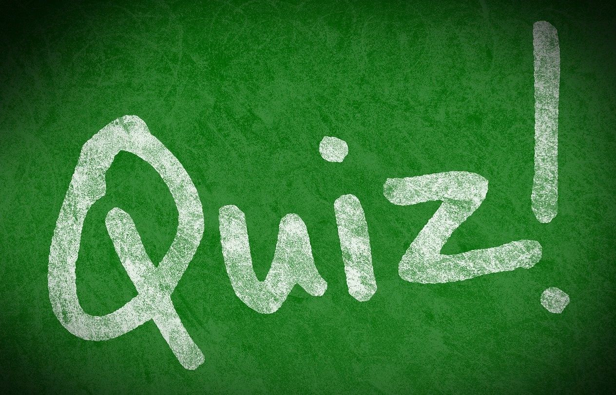 Personality Test: What Kind of Person Are You Really?
